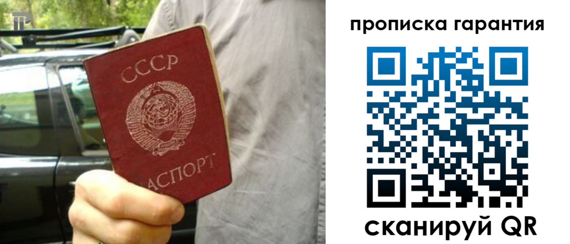 временная регистрация купить в Новом Осколе